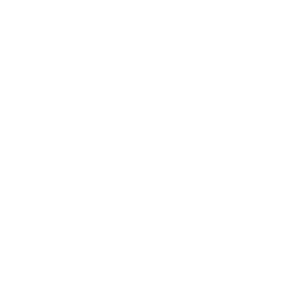 De Meester