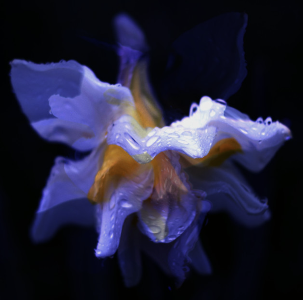 DieperActief - Deep to find